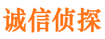 开福市调查公司